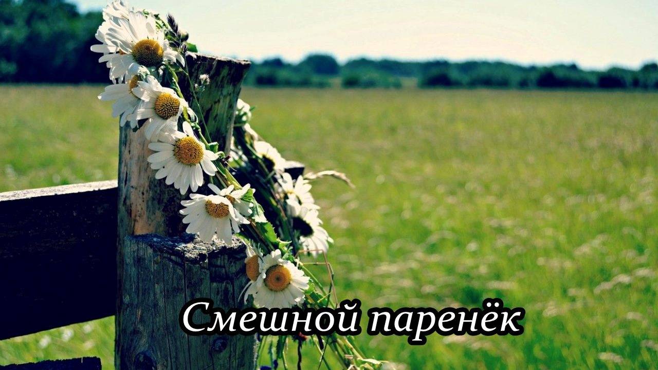 Смешной паренёк смотреть онлайн