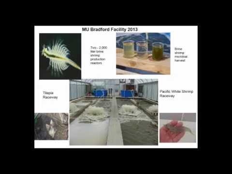Bioprocessing of Microbial Biomass: Enabling Sustainable Zero-Discharge Seafood Production смотреть онлайн