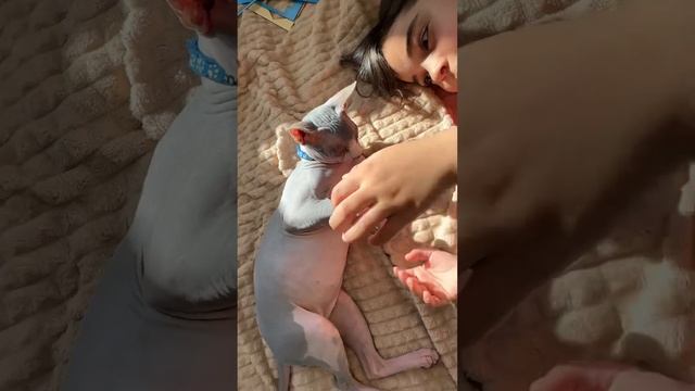 Просто такая сильная #любовь #МоникаПитомцыикоманда #топ #реки #рек #тренды #блогеры смотреть онлайн