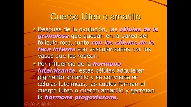 TERMA 4 PRIMERA SEMANA - DE HISTOLOGIA Y EMBRIOLOGIA - Dr. Ariel Lionel Sangueza A. смотреть онлайн
