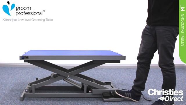 Groom Professional Kilimanjaro Low Level Electric Grooming Table - Christies Direct смотреть онлайн