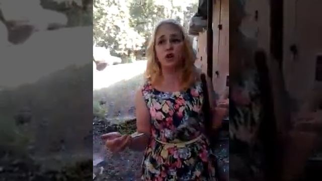 Под феном смотреть онлайн