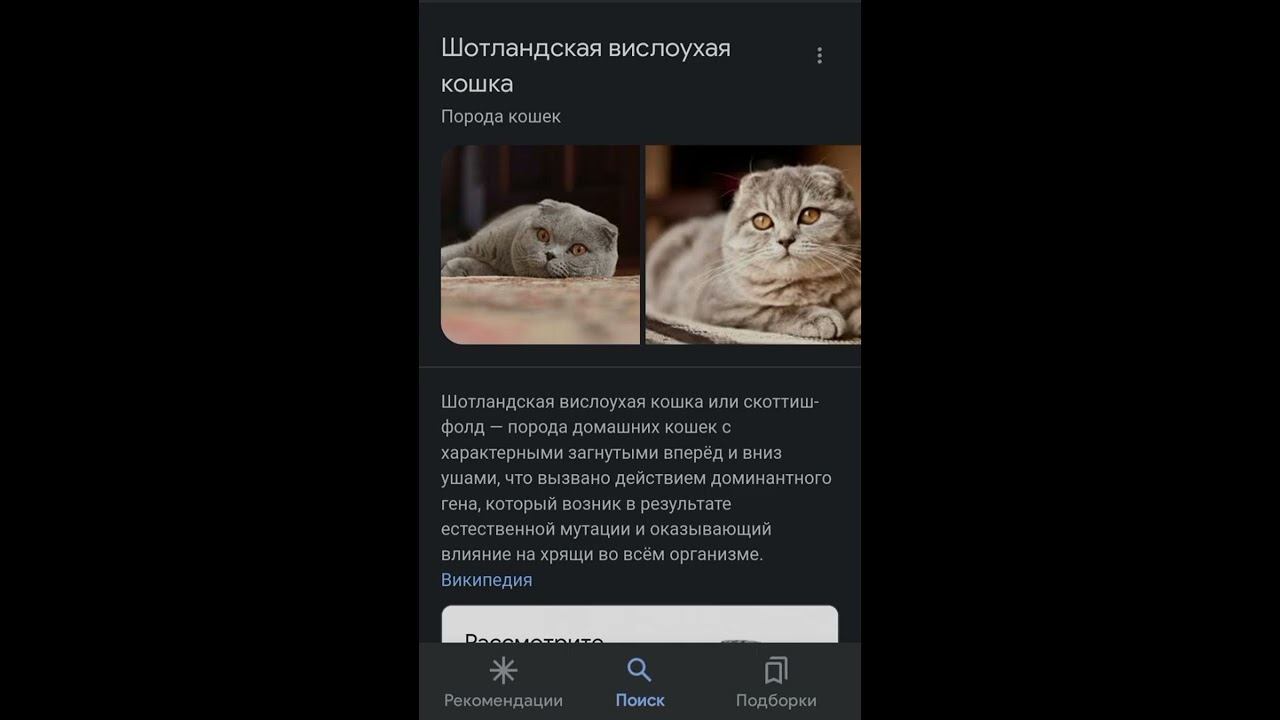 вот кто создал вентилятор смотреть онлайн