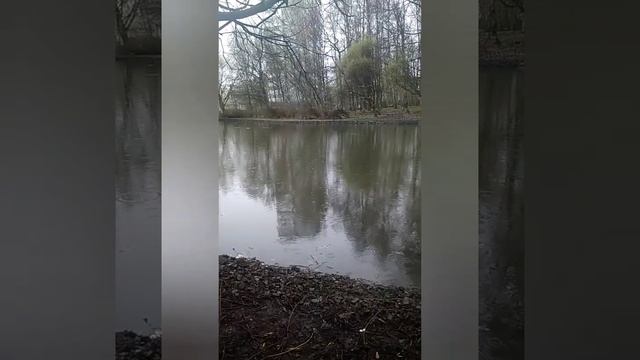 Евгений Кунгуров покойся с миром смотреть онлайн