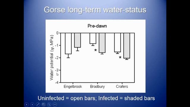 Sucking the lifeblood out of major invasive weeds of Australia смотреть онлайн
