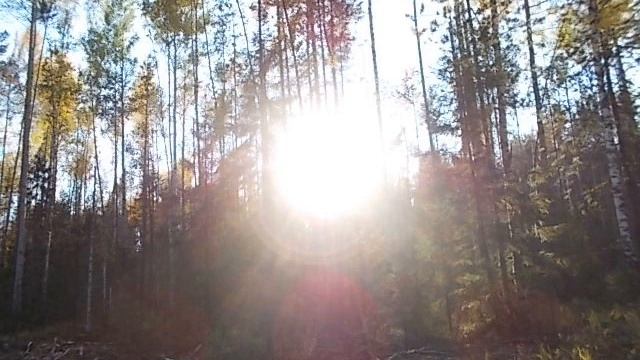 Песня ДАРИТЕ РАДОСТЬ И ТЕПЛО смотреть онлайн