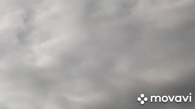 Незваный гость🦅🦅🦅 смотреть онлайн