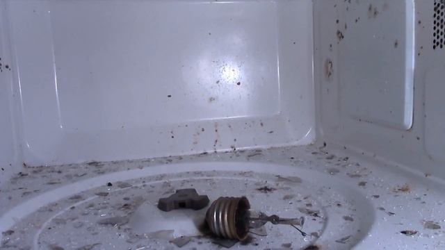 1100 Watt Microwave vs light bulb No 2 смотреть онлайн