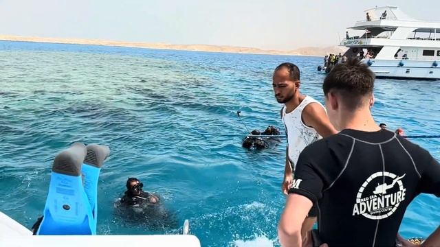 Египет. Дайвинг с русалками в Шарме. Самое красивое Красное море смотреть онлайн