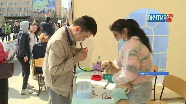 На отборочном этапе нацчемпионата «Молодые профессионалы» в Якутске приехали из 56 регионов России смотреть онлайн