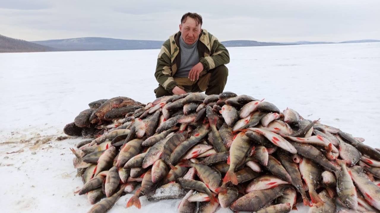РЫБАЛКА НА КРУПНОГО ОКУНЯ! смотреть онлайн