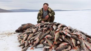 РЫБАЛКА НА КРУПНОГО ОКУНЯ!