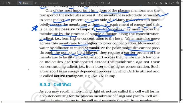 Cell: The Unit Of Life | Latest NCERT reading series | Class 11 | NEET 2024 смотреть онлайн