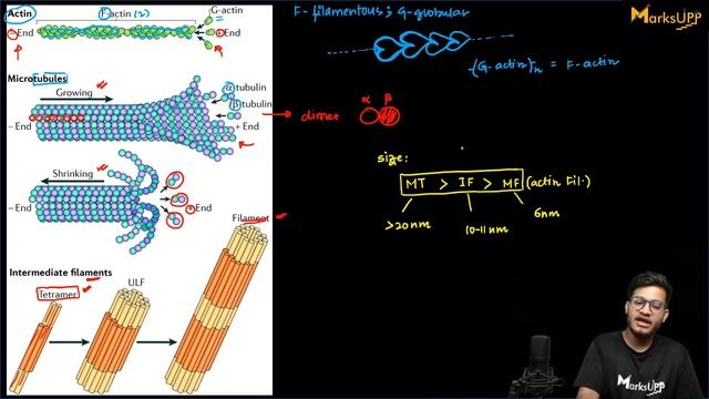 Class Xl | Cell The Unit of Life L2 | Sigma Star ⭐| Neet 2024 | Dr Vipin Kumar Sharma смотреть онлайн