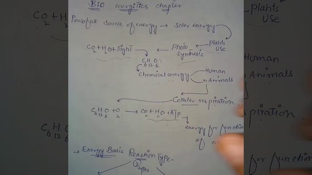 Bioenergetics part 2/endergonic reaction/exergonic reactions/in urdu /hindi смотреть онлайн
