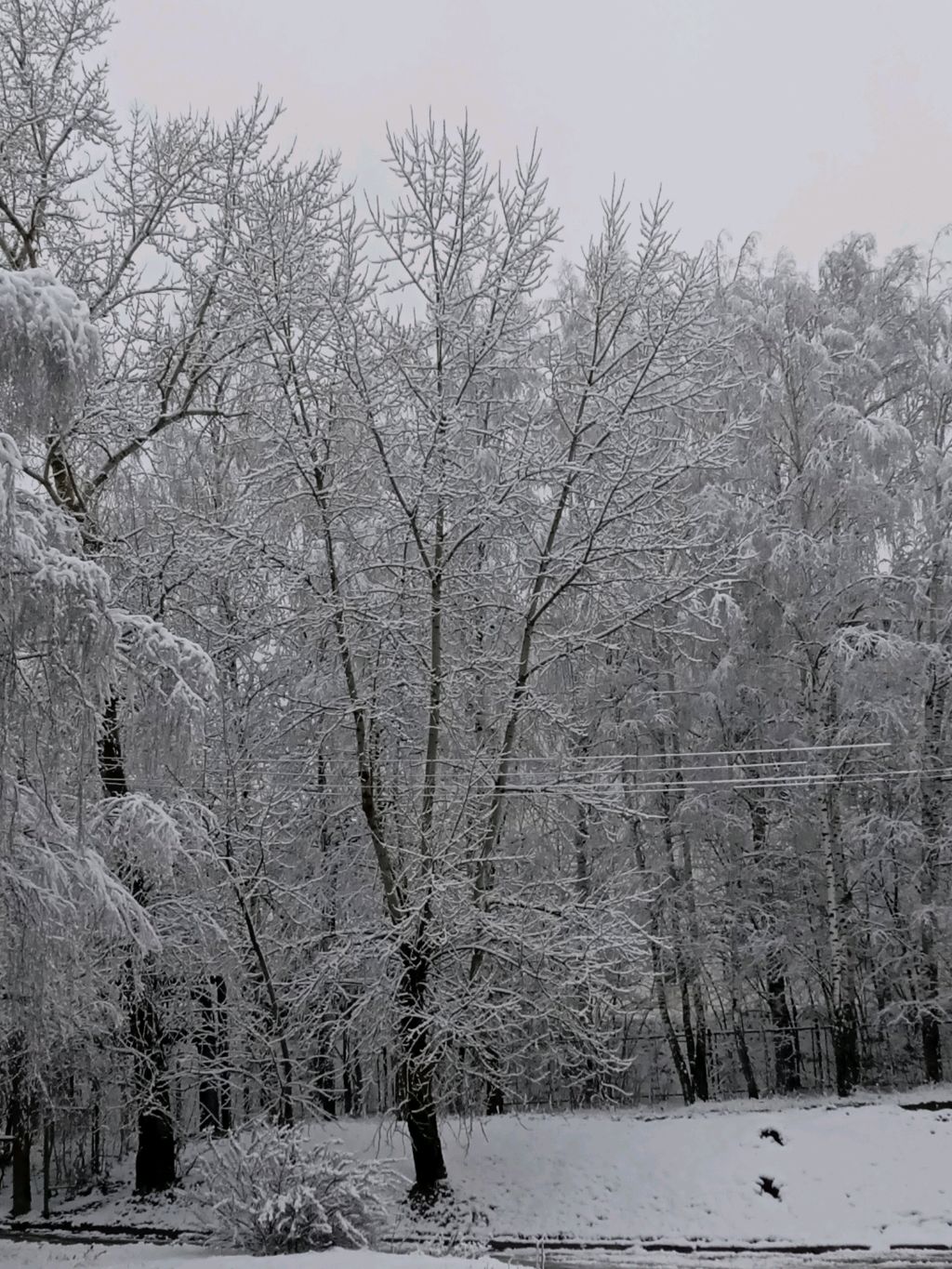 Зима❄⛄ холода смотреть онлайн