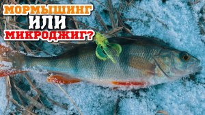 💥ОКУНЁВАЯ ЗАРУБА!🤜Мормышинг vs Микроджиг🤛Кто Кого? #мормышинг #микроджиг #стритфишинг #окунь