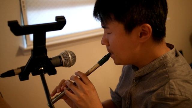Gabriel's oboe - Irish Tin Whistle смотреть онлайн