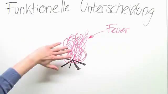 NERVENZELLE UND SYNAPSE | Biologie | Biologie des Menschen (Mittelstufe) смотреть онлайн