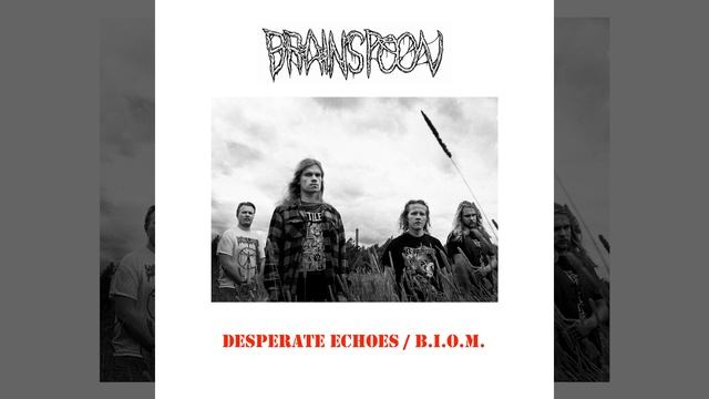 Desperate Echoes смотреть онлайн