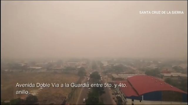 Bolivia- Nuestra fauna y flora nos necesitan🙌@Bolivia2023-hp2eq смотреть онлайн