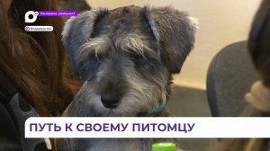 Проект «Путь в кинологию» в Приморье знакомит школьников с основами дрессировки