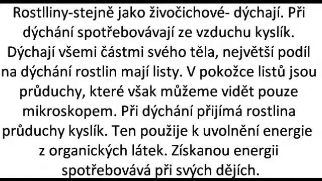 BOTANIKA смотреть онлайн