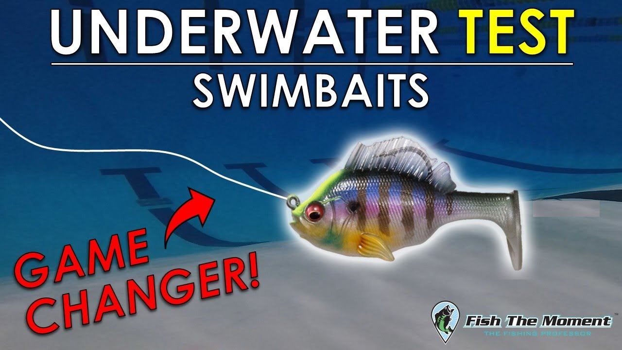 Testing Swimbait Action In Rocks, Wood, And Grass | Underwater Bass Fishing Rig Test смотреть онлайн