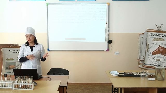 Усмангалиева С.С. - Ветеринариялық санитариялық паразитология смотреть онлайн