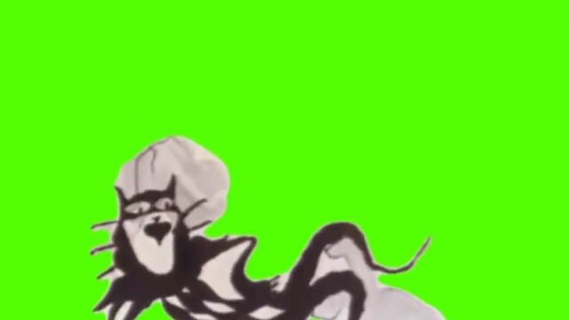чёрный кот мяу мяу футаж смотреть онлайн