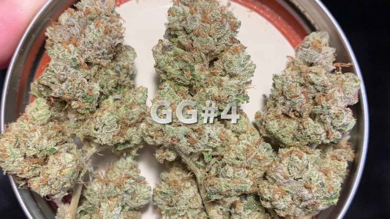 HLG 650r with UV Bar LED Grow Update Day 14 of Flower смотреть онлайн