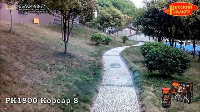 Петарды "Корсар 8", арт. РК1800
Салютыч смотреть онлайн