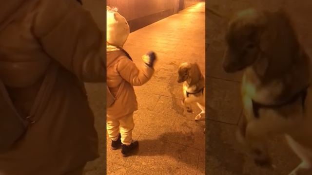 Козлёнок в центре Москвы смотреть онлайн