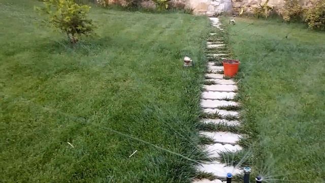 Hunter ECO Rotator.....pruebas смотреть онлайн