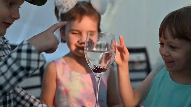 Креативный Фокусник от WoW Party | WoW Party | wow-party.events смотреть онлайн
