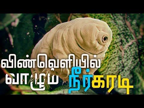 Only animal outside earth| Tradigade | tamil | смотреть онлайн