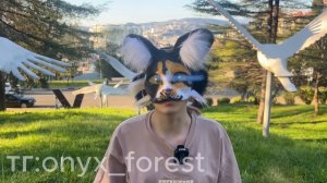 Как найти свой тереотип в квадробике.