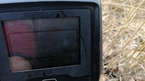 Быстрый обзор White's spectra V3i. #1