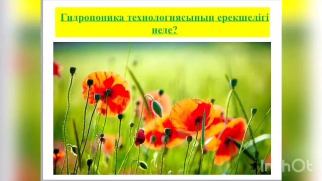 Көркем еңбек 8 сынып Өсімдік шаруашылығы смотреть онлайн