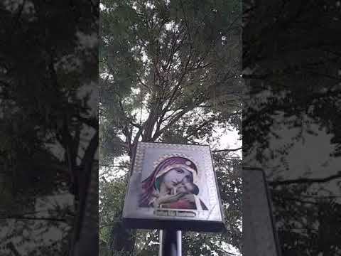 Псалтырь на закате солнца.Кафизма 20. смотреть онлайн