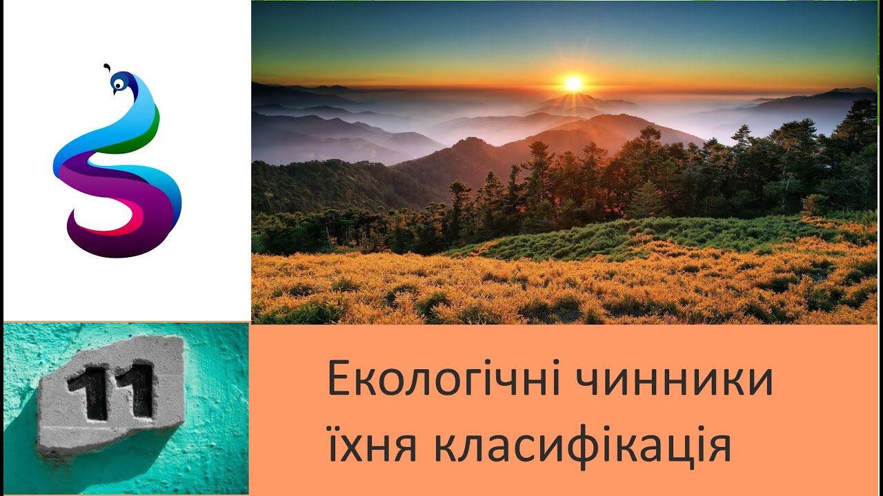 Екологічні чинники та їхня класифікація . смотреть онлайн
