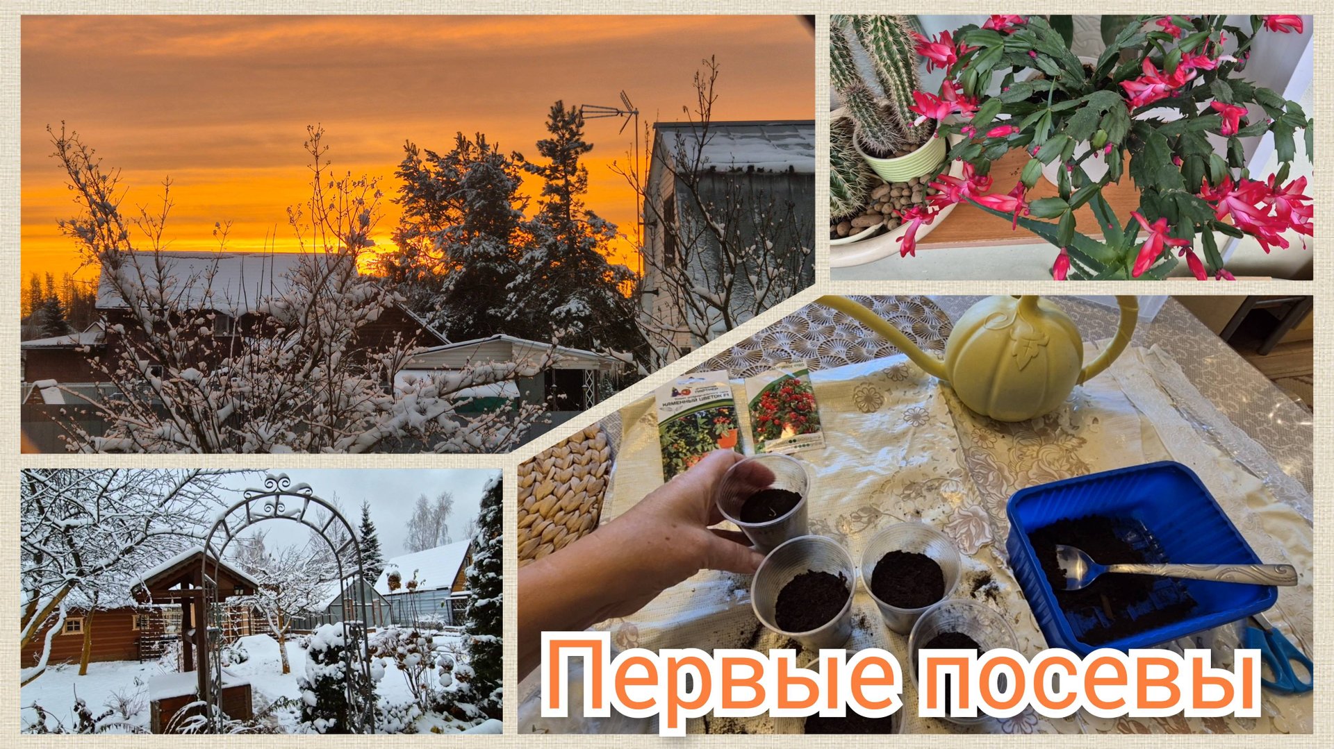 Дача в ноябре.Не спится Рассвет.Посеяла первые ТОМАТЫ мини.Цветы в квартире смотреть онлайн