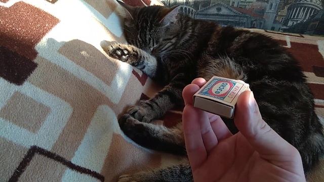 Вращение коробка🕶️повторишь? смотреть онлайн