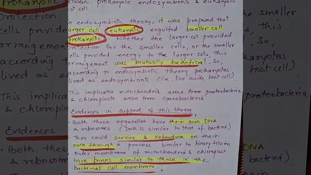 Secret origin of life: endosymbiotic theory #endosymbiotic смотреть онлайн