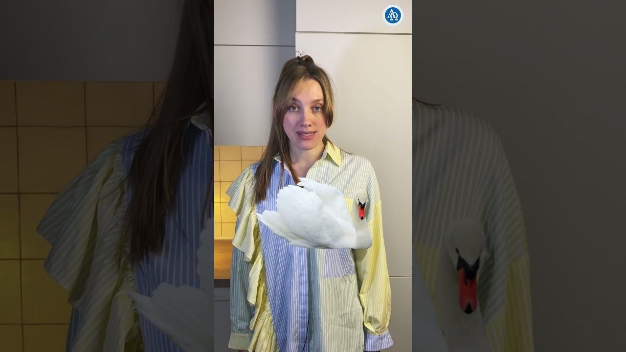 Популярные названия птичек на греческом языке 🐦🦆 смотреть онлайн