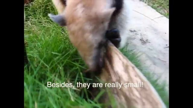 Flatlands [Full] смотреть онлайн