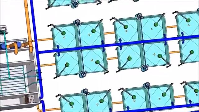 Sterlet farm. Ферма стерляди. Granja de sterlet. смотреть онлайн