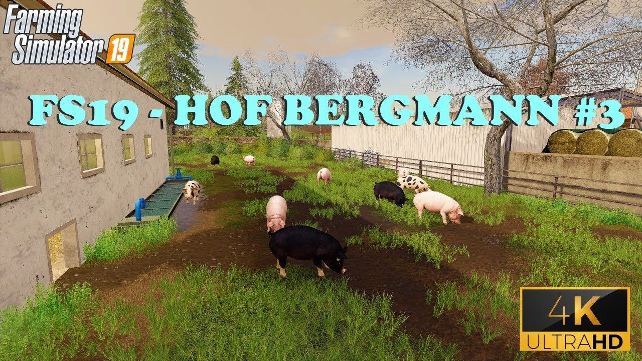 PIGS & GOATS THIS TIME! - FS19 Hof Bergmann #3