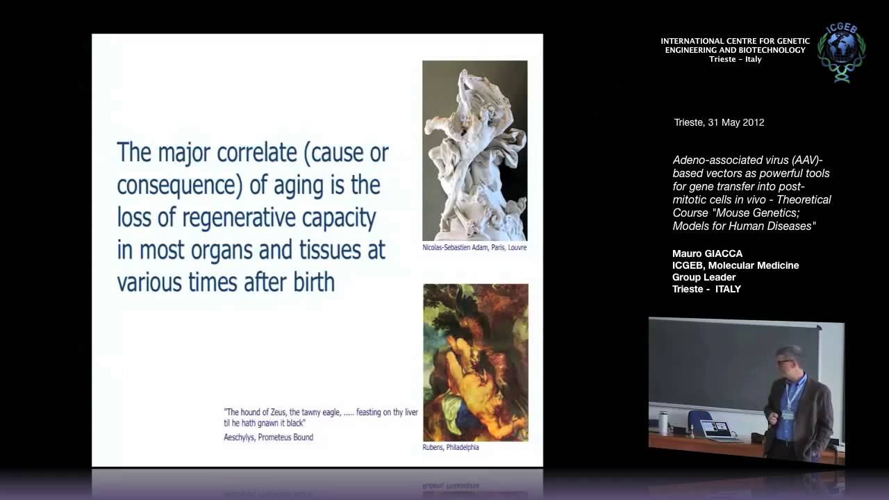 M. Giacca - AAV-based vectors as powerful tools for gene transfer into post-mitotic cells in vivo смотреть онлайн