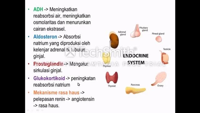 Kebutuhan Cairan dan Elektrolit MK. Kebutuhan Dasar Manusia (KDM) смотреть онлайн